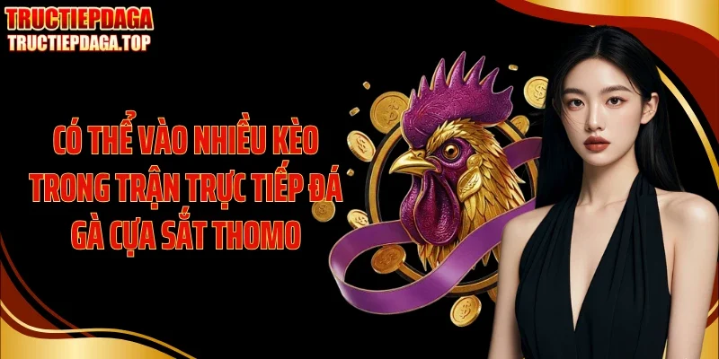 Có thể vào nhiều kèo trong trận trực tiếp đá gà cựa sắt Thomo