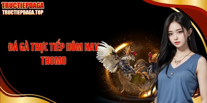 da ga truc tiep hom nay thomo thumb