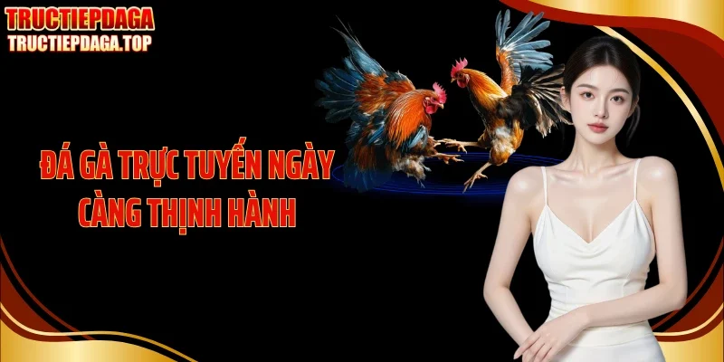 Đá gà trực tuyến ngày càng hot và thịnh hành