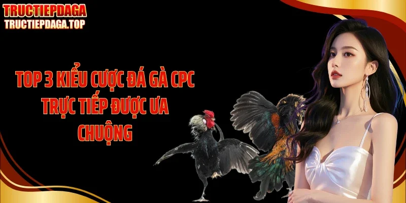 Top 3 kiểu cược đá gà CPC trực tiếp được ưa chuộng