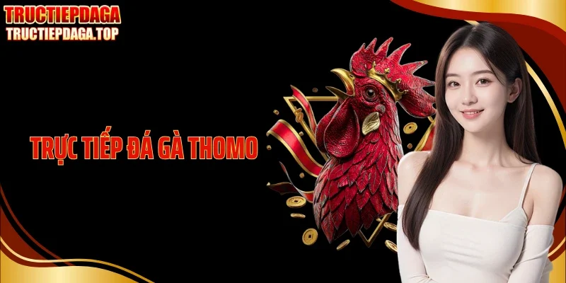 truc tiep da ga thomo thumb
