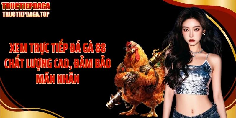 Xem trực tiếp đá gà 88 chất lượng cao, đảm bảo mãn nhãn