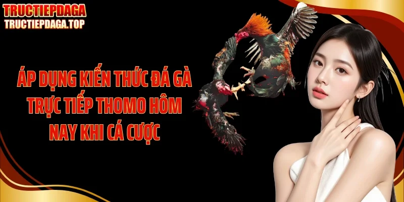 Áp dụng kiến thức đá gà trực tiếp thomo hôm nay khi cá cược